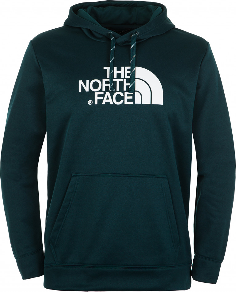 Худи мужское The North Face Surgent