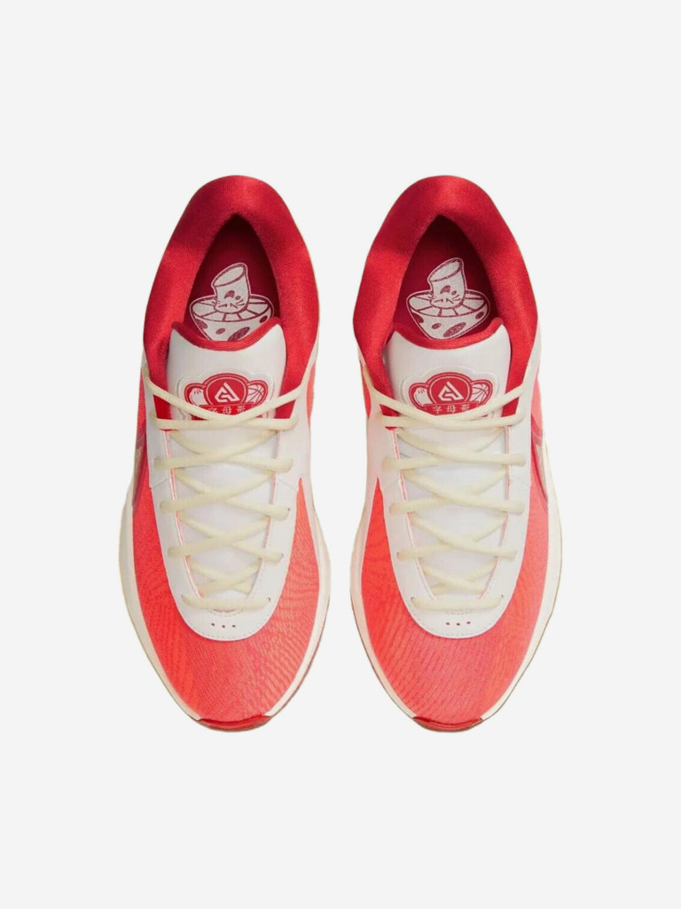 Кроссовки для баскетбола Nike Giannis Zoom Freak 6