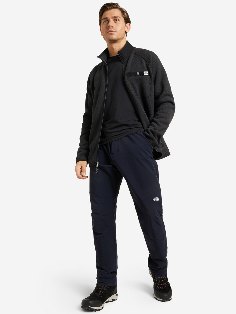 Брюки мужские The North Face Diablo