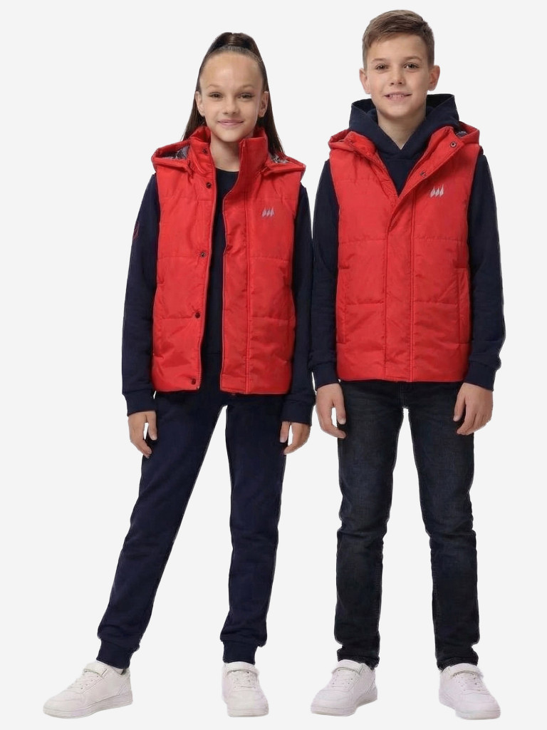 Жилет со съемным капюшоном WILDWINS