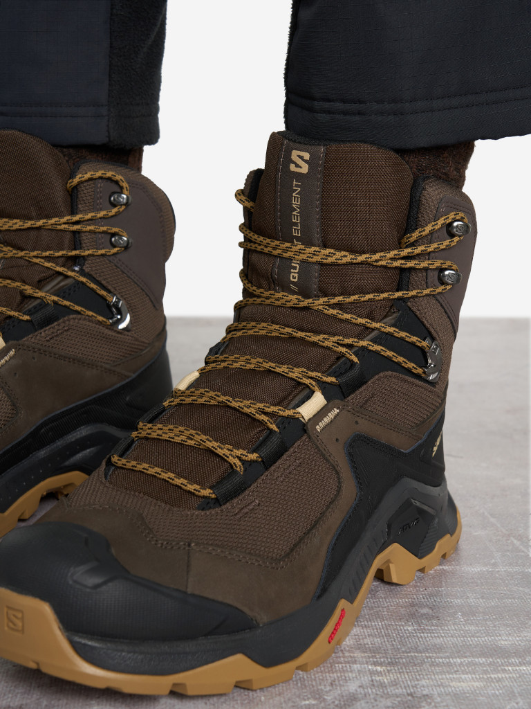 Ботинки мужские Salomon Quest Element GTX