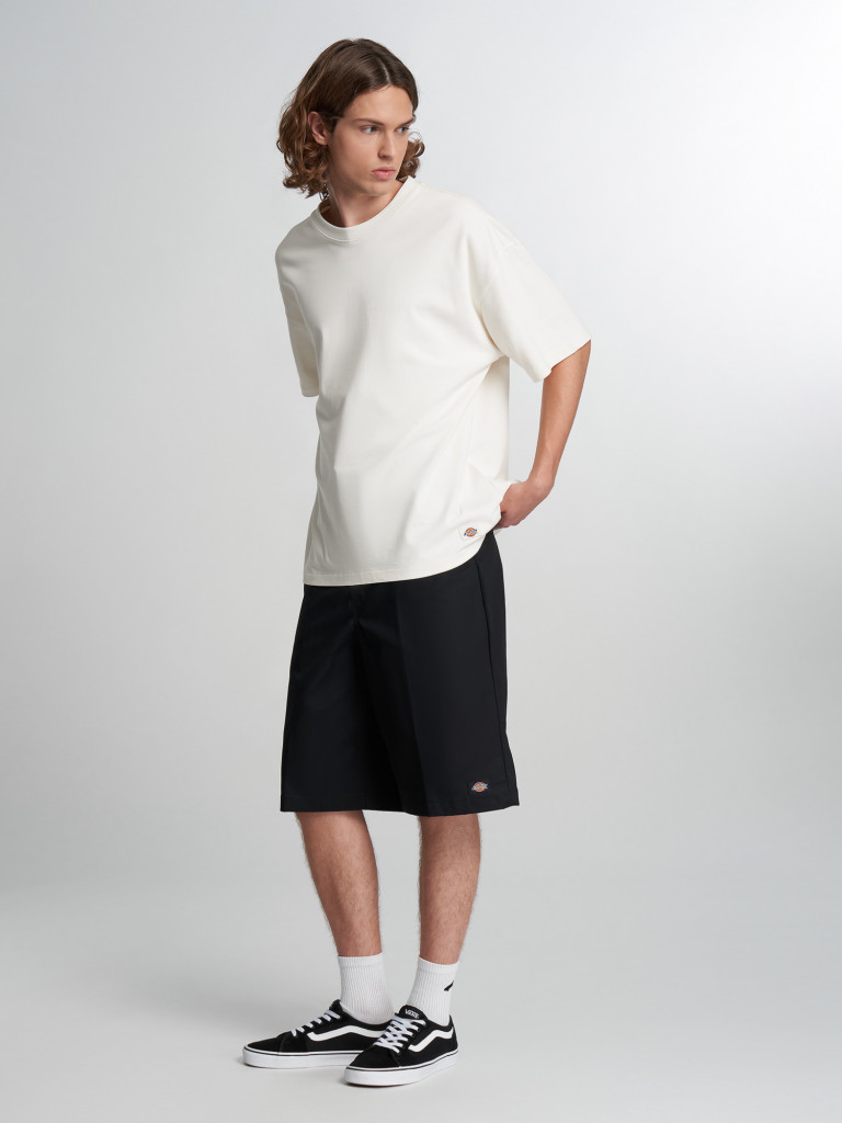 Шорты мужские DICKIES 13 In Mlt Pkt W/St