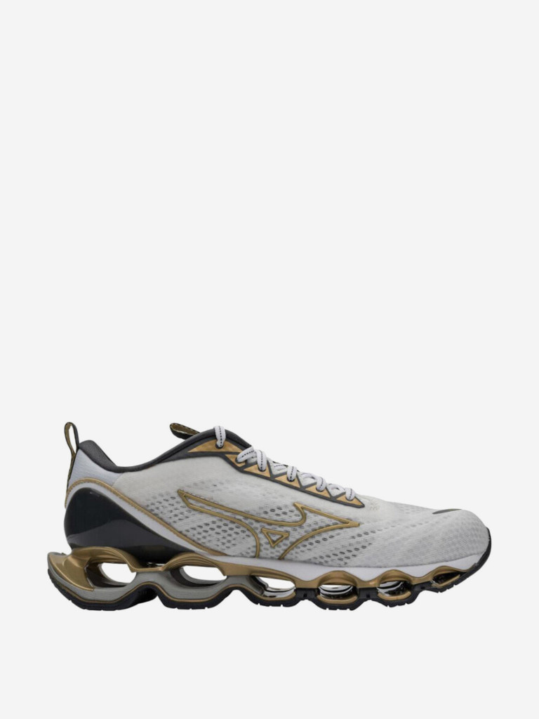 Кроссовки мужские для бега Mizuno Wave Prophecy 11