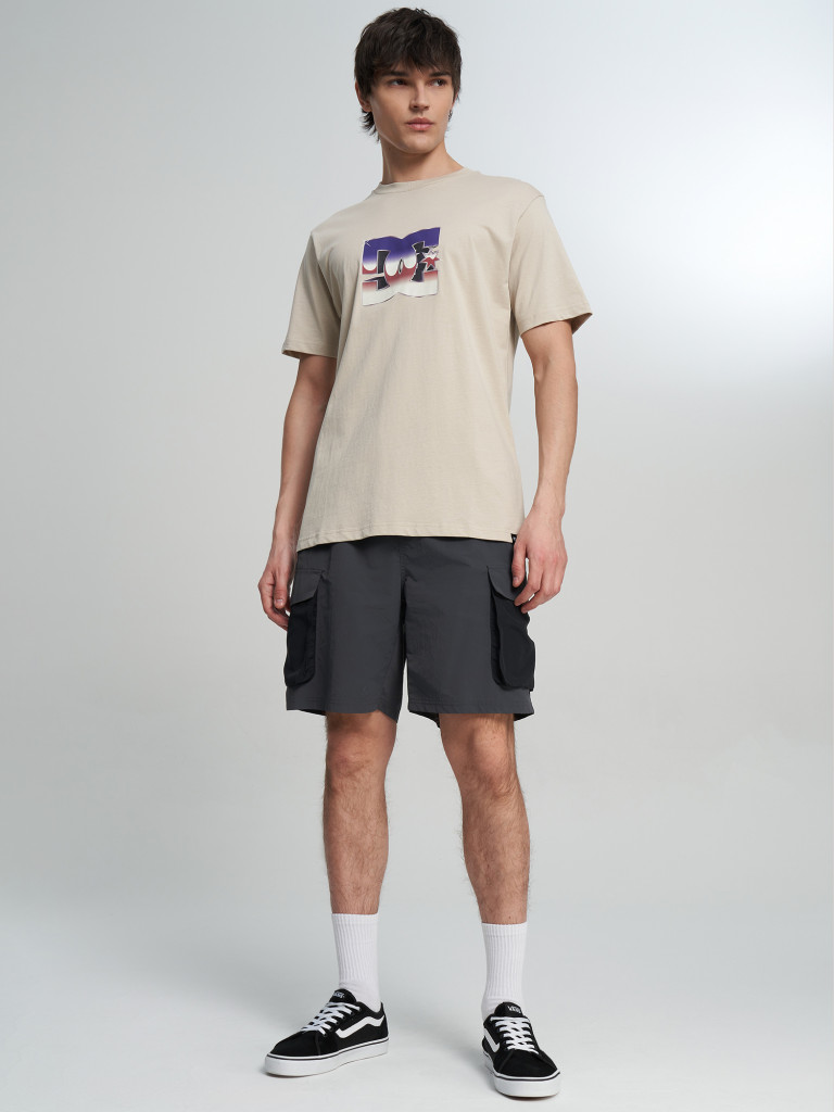 Футболка мужская DC Shoes Metallic Star