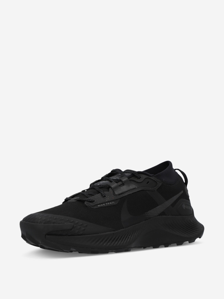 Кроссовки мужские Nike Pegasus Trail Gtx