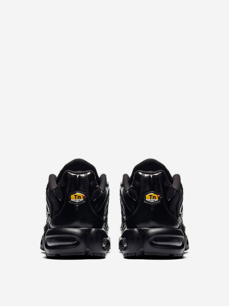 Кроссовки Nike Air Max Plus