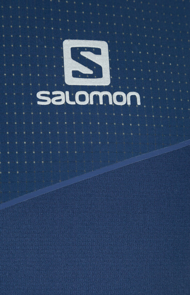 Футболка мужская Salomon Fast Wing