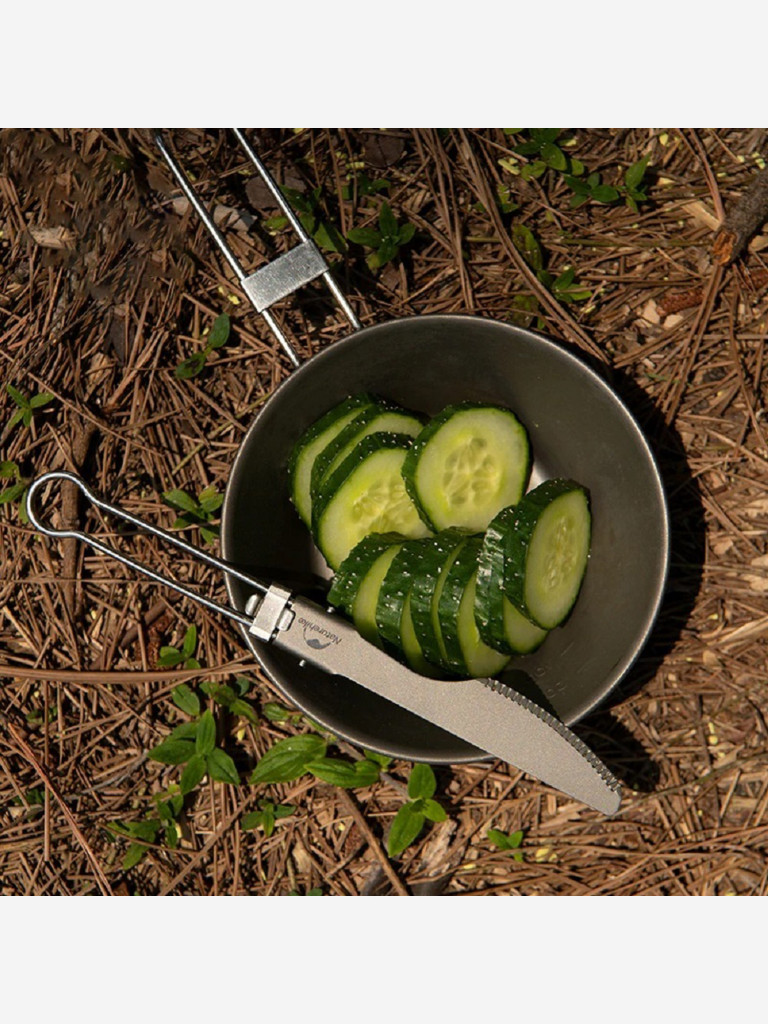 Нож складной титановый Naturehike Titanium Alloy Outdoor Travel Folding Tableware Knife NH19C001-J