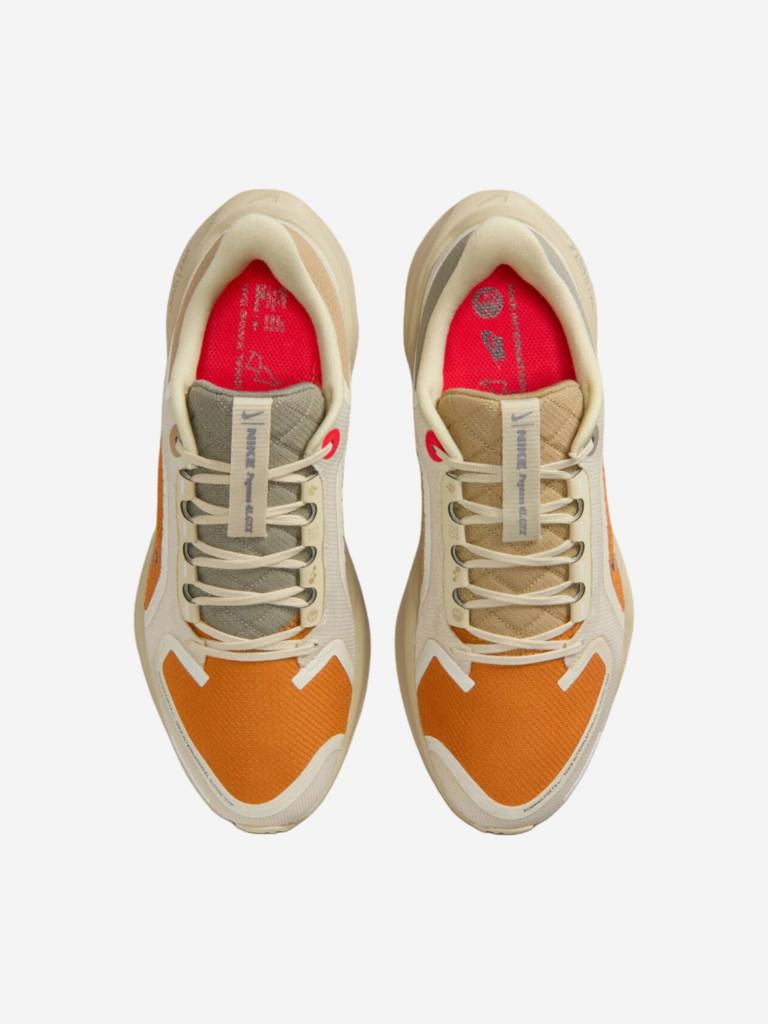 Кроссовки Nike Air Zoom Pegasus 41