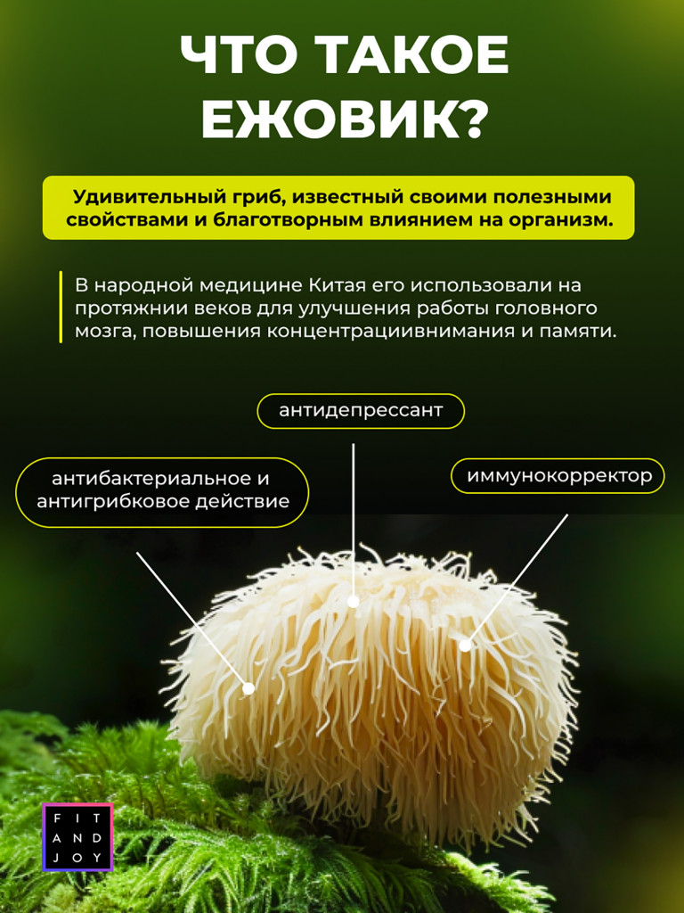 Ежовик гребенчатый в капсулах, мицелий гриба, для памяти, 120 капсул
