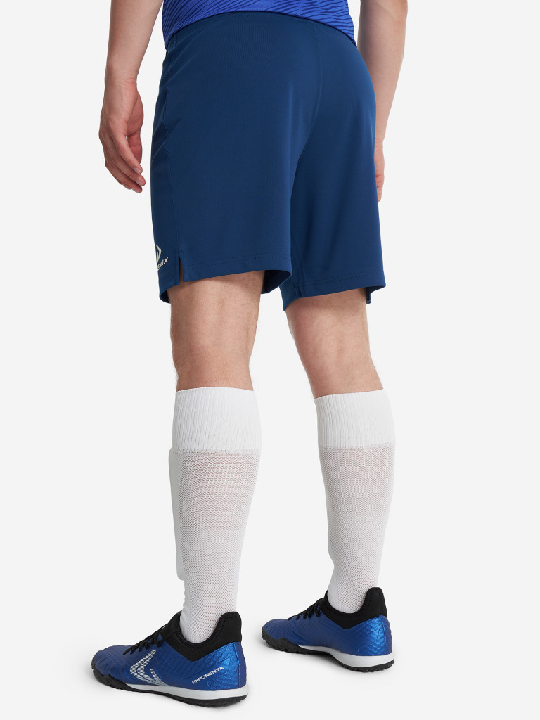 Шорты мужские Demix Legacy