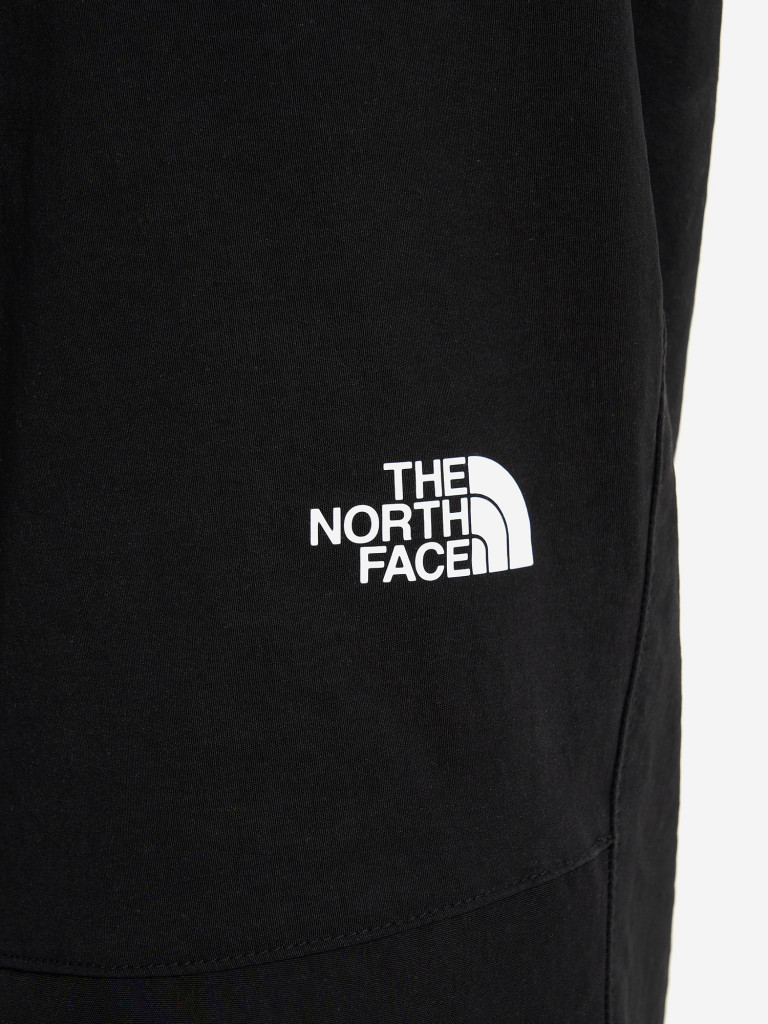 Брюки мужские The North Face