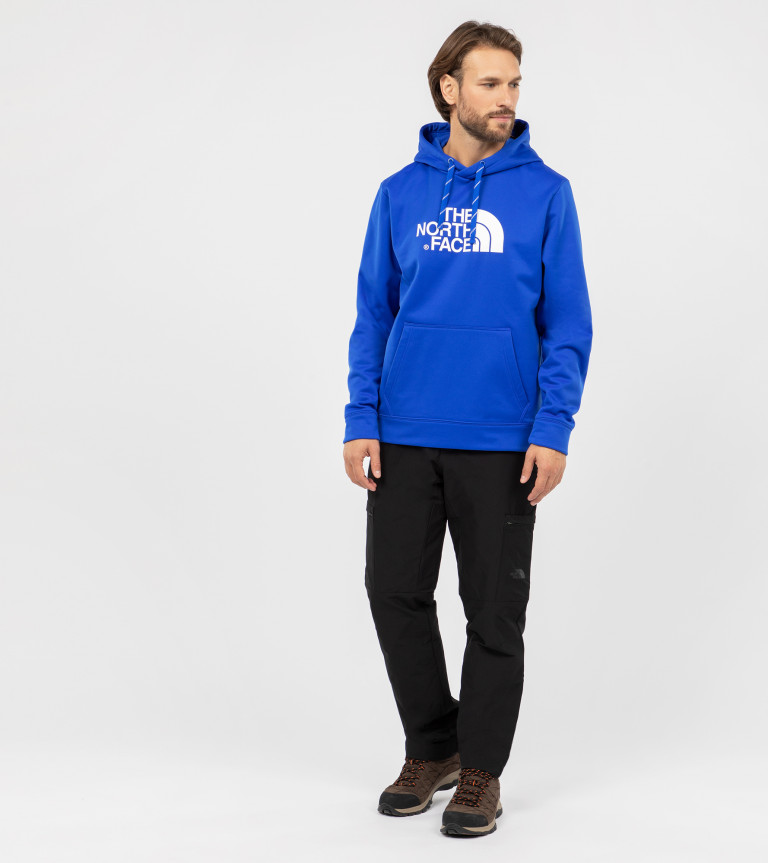Худи мужское The North Face Surgent