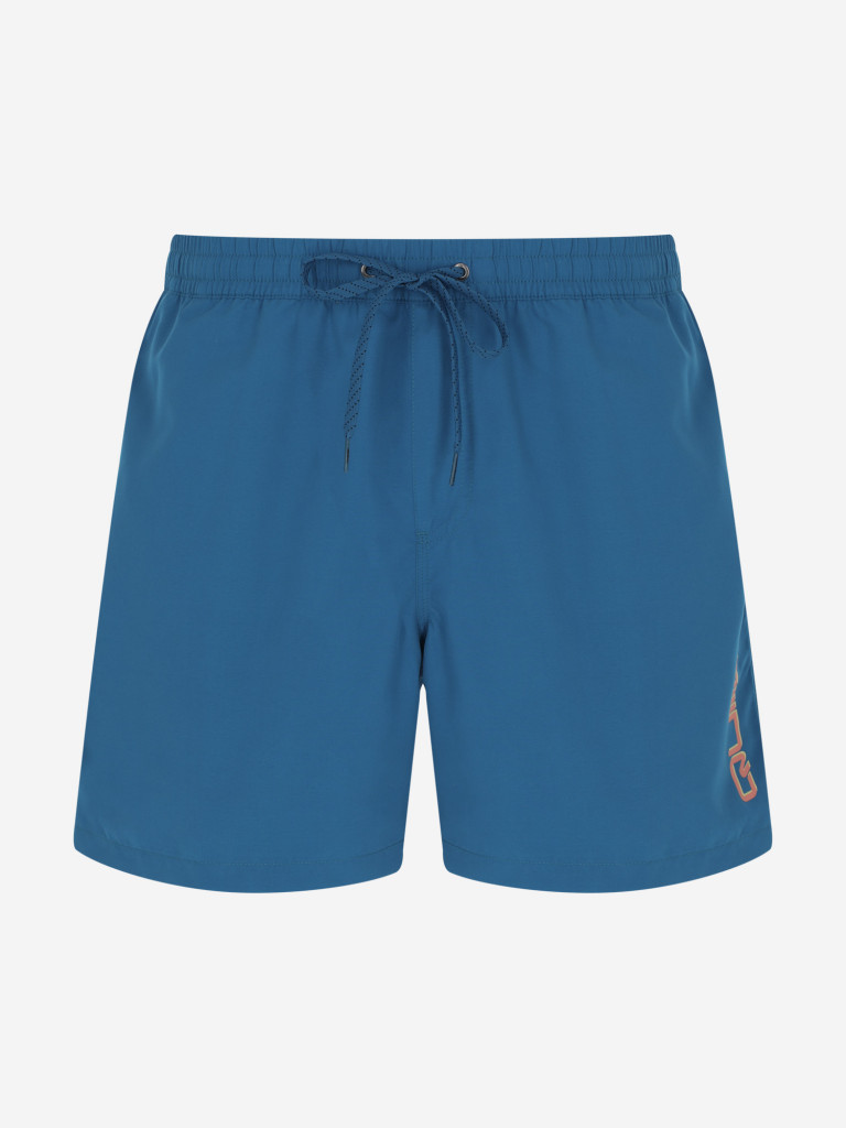 Шорты пляжные мужские Quiksilver Everyday Vert Volley