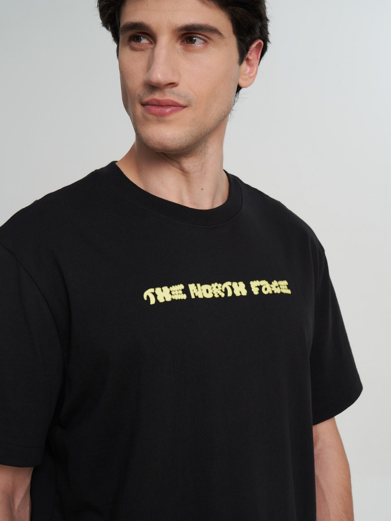 Футболка мужская The North Face Logo Twist