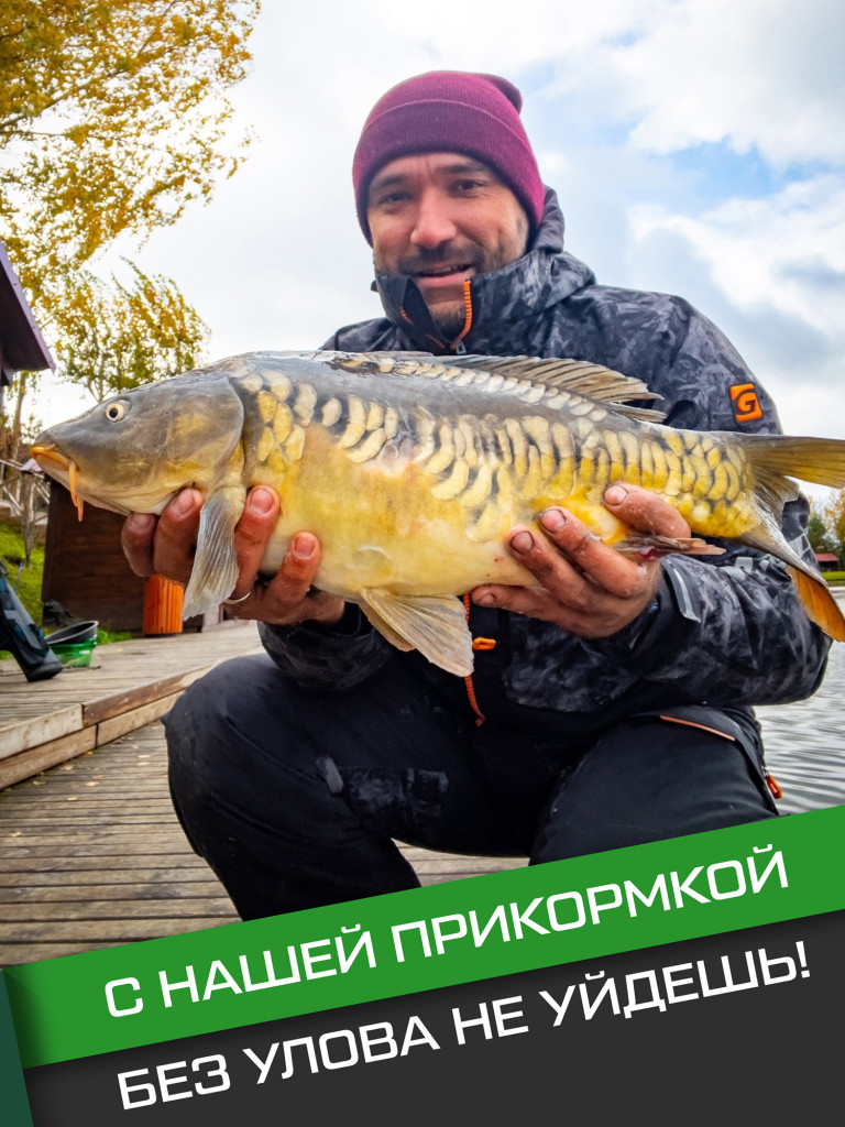 Прикормка для рыбы F-FISHING PRO Carp Горох 1кг