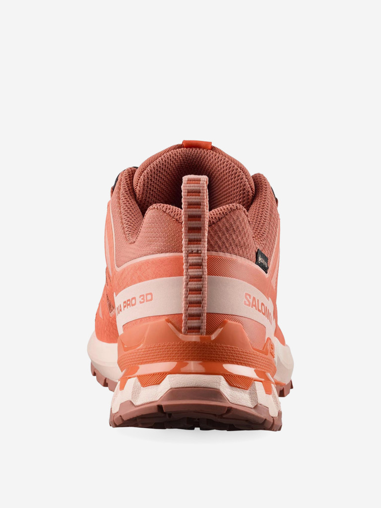 Кроссовки беговые Salomon XA PRO 3D V9 GTX W