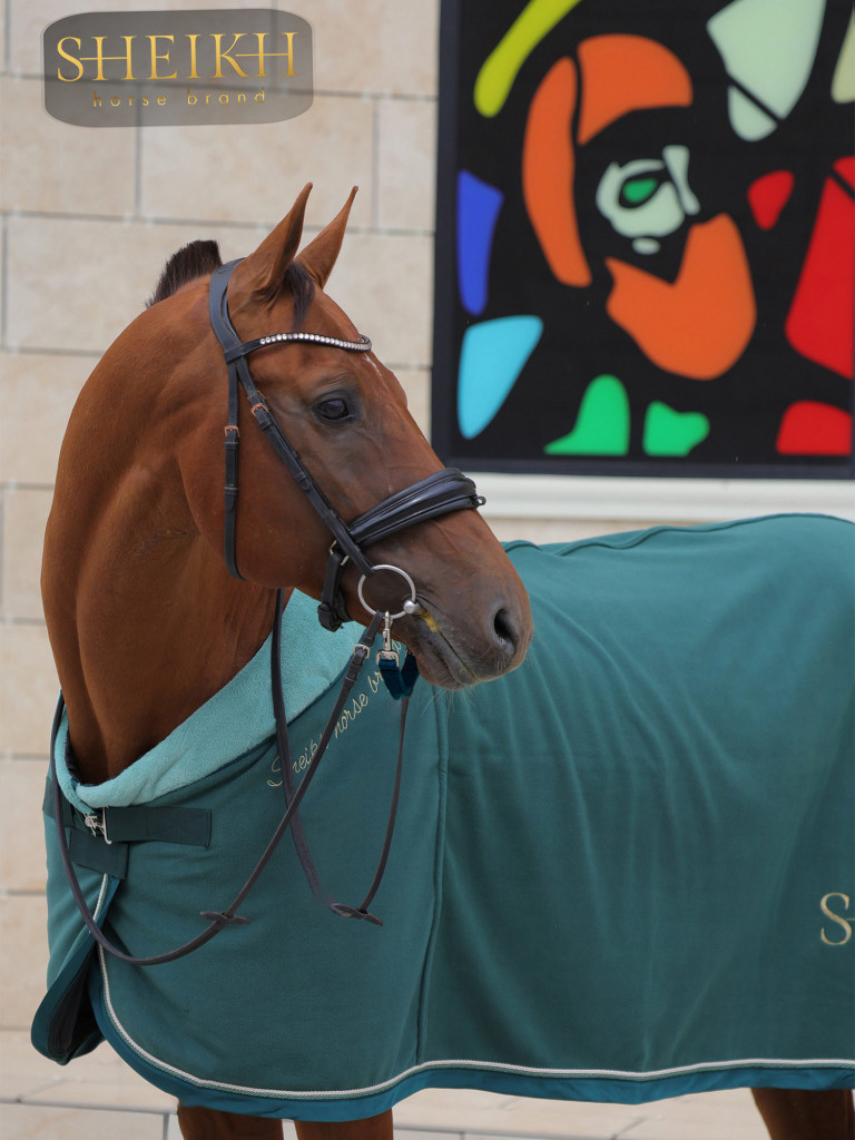 Попона флисовая для лошади, коллекция ОРИЕНТАЛ
