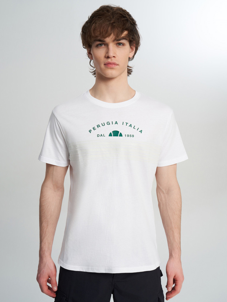 Футболка мужская Ellesse