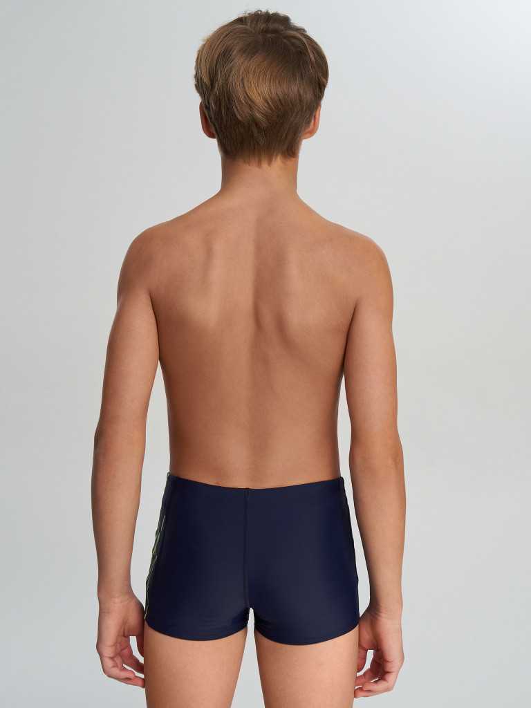 Плавки-шорты для мальчиков Speedo Plastisol Placement Aquasht