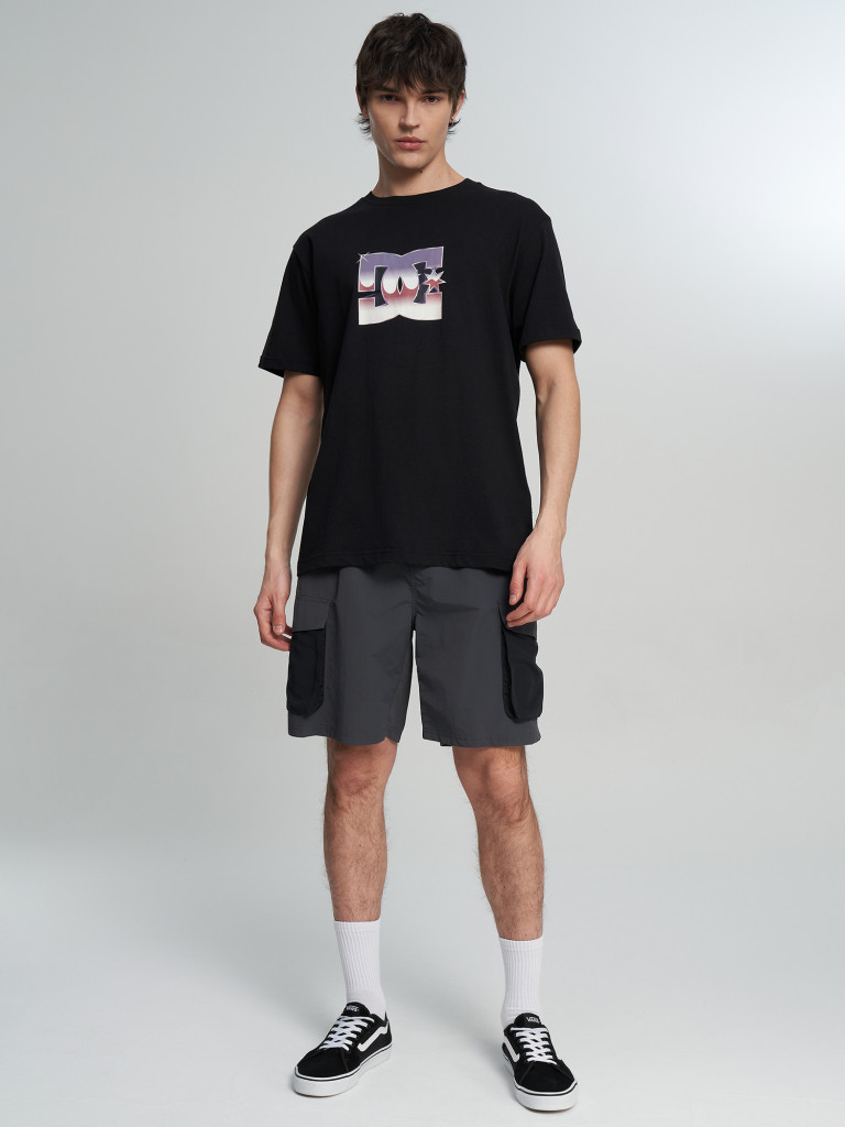 Футболка мужская DC Shoes Metallic Star