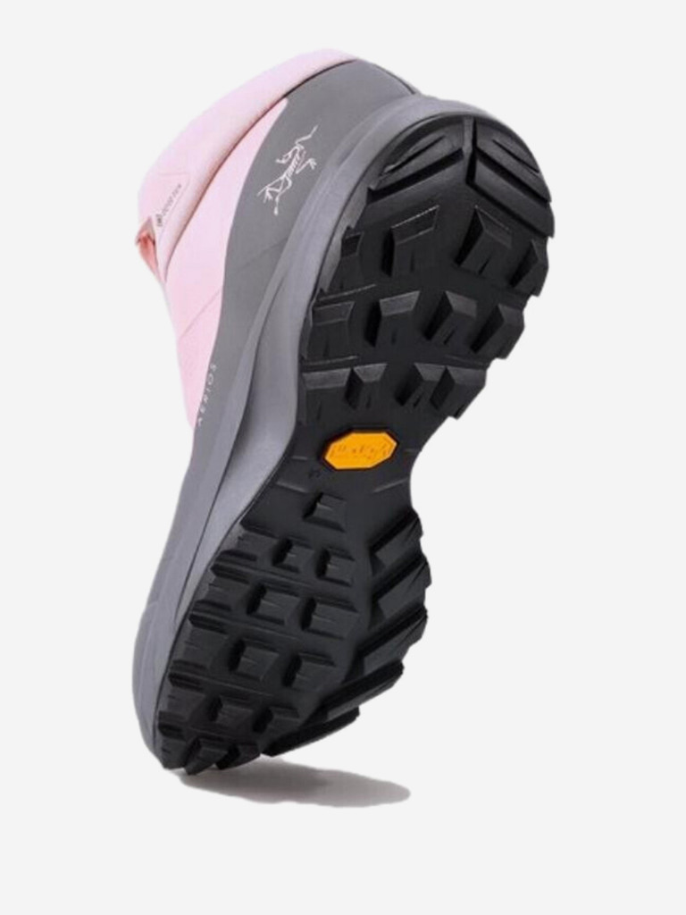 Кроссовки женские Arcteryx Aerios FL 2 GTX