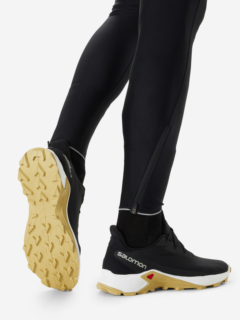 Кроссовки мужские Salomon Alphacross 3