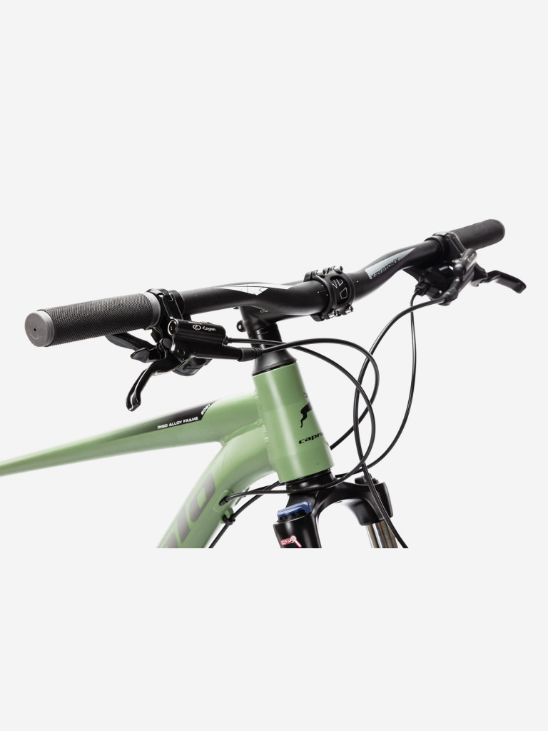 Велосипед CAPRIOLO MTB LEVEL 9.3 (3 X 8), рама алюминий 19'', колёса 29'' (резеда (матовый) - зелёный - серый)