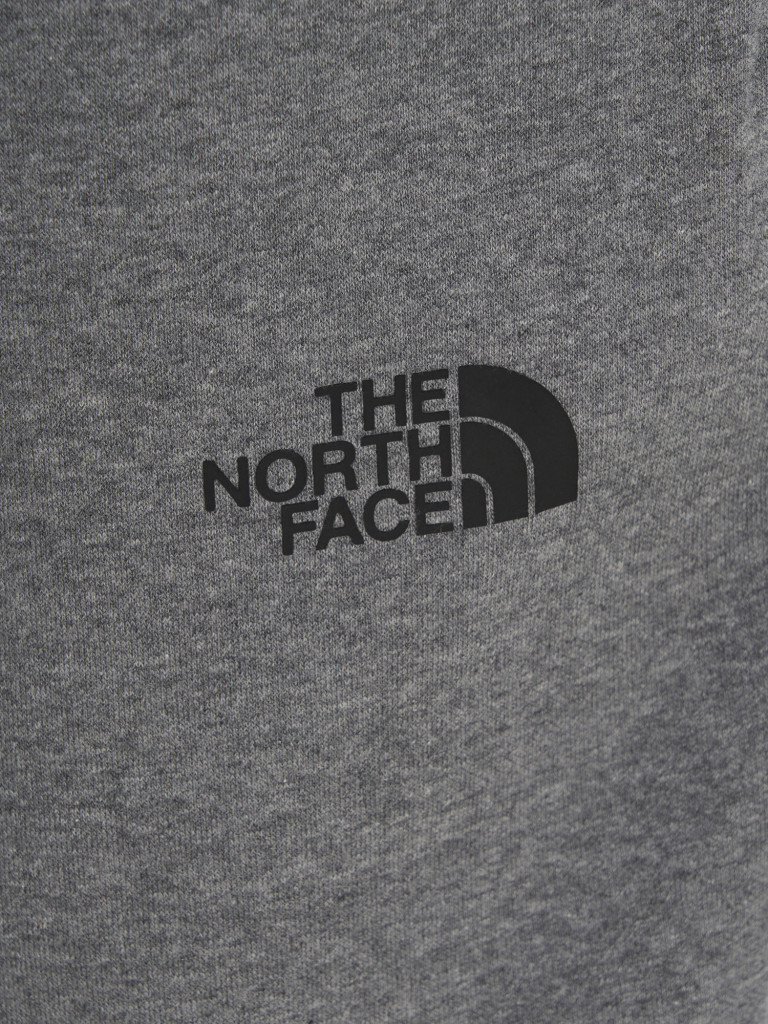 Брюки мужские The North Face Simple Dome