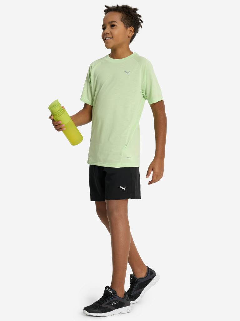 Футболка для мальчиков PUMA Evostripe