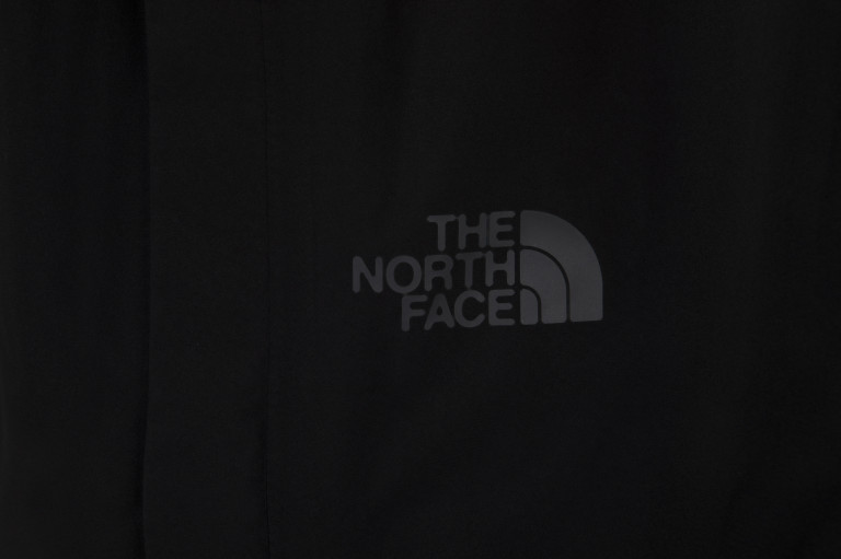 Брюки мужские The North Face Dryzzle Full Zip