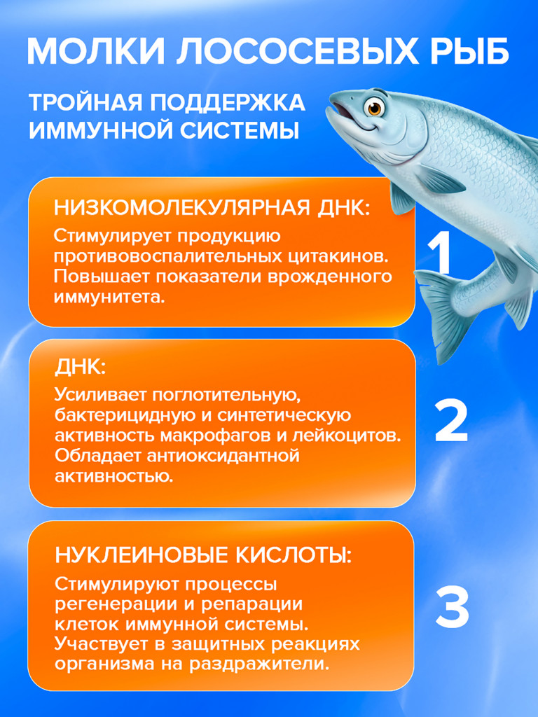 Морской комплекс витаминов для иммунитета Иммуностимул, гидролизат молок лососевых, ганглии кальмара и фукоидан, поддержка энергии, 20 капсул / Доктор Море