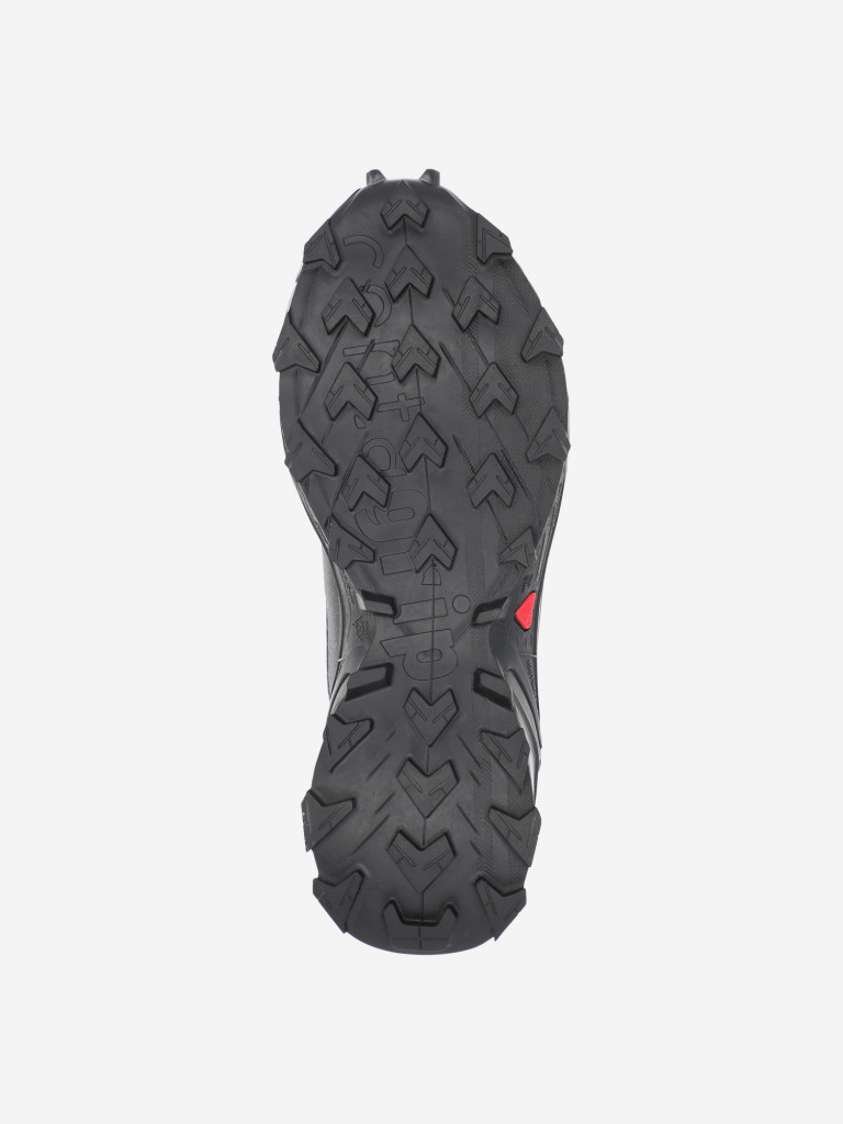 Кроссовки женские Salomon Alphacross 5 GTX