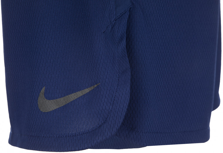 Шорты мужские Nike Dry