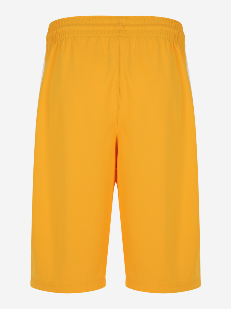 Шорты мужские Nike Elite Franchise