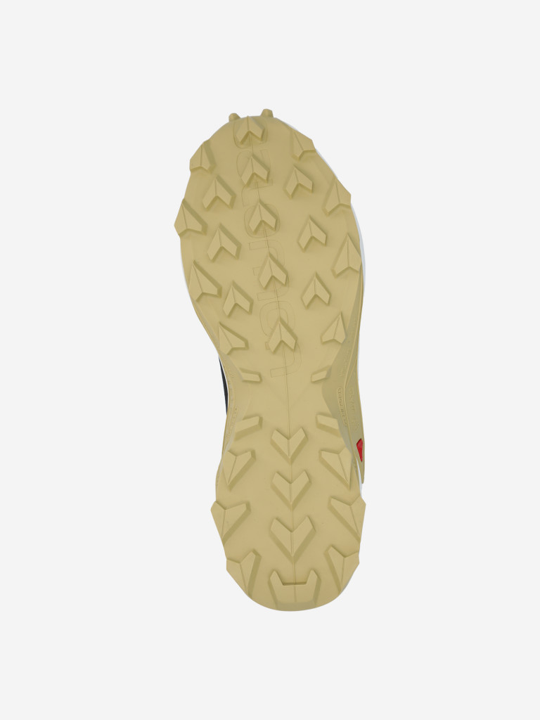 Кроссовки мужские Salomon Alphacross 3