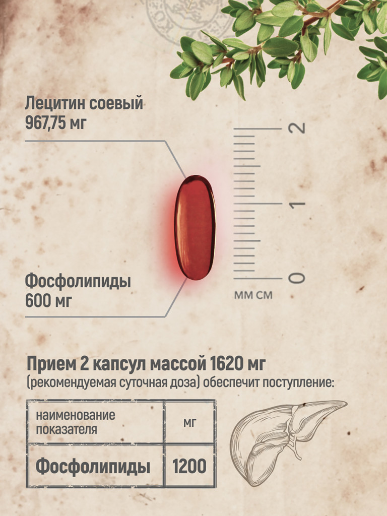 Лецитин соевый MedCraft, 60 капс.
