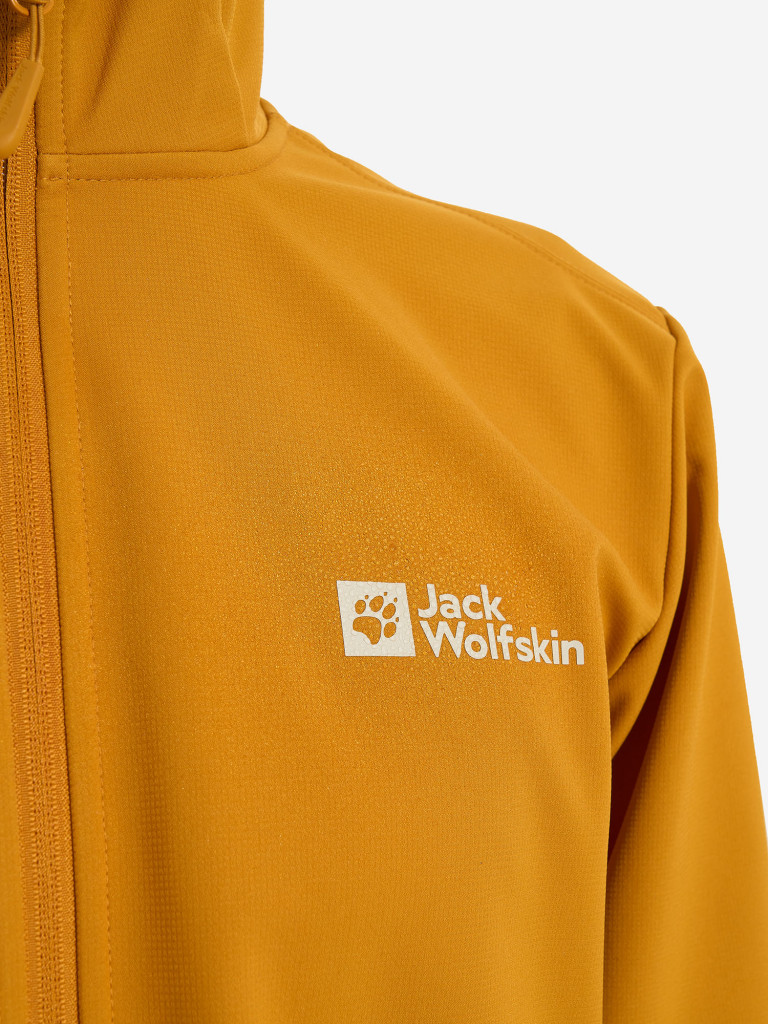 Куртка софтшелл мужская Jack Wolfskin Bornberg
