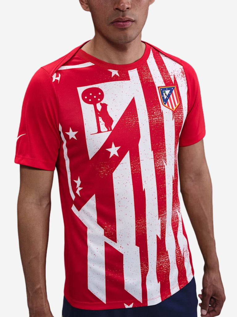 Футболка спортивная мужская Nike Academy Pro Dri FIT