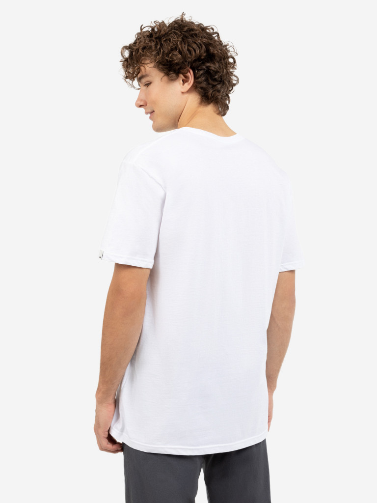 Футболка мужская Quiksilver Flaxton