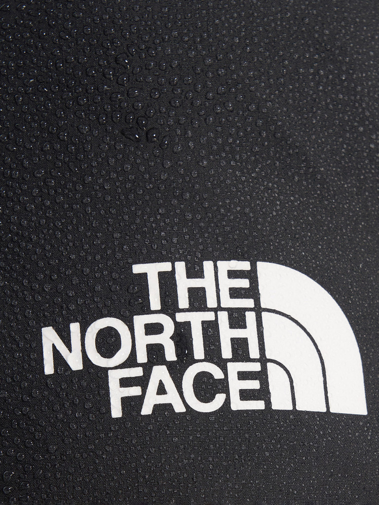 Брюки мужские The North Face Jazzi Gtx