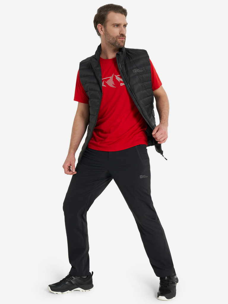 Футболка мужская Jack Wolfskin Peak Graphic