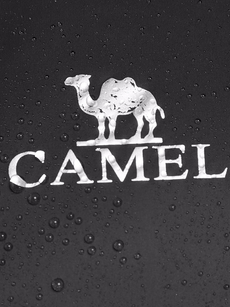 Пуховик мужской Camel