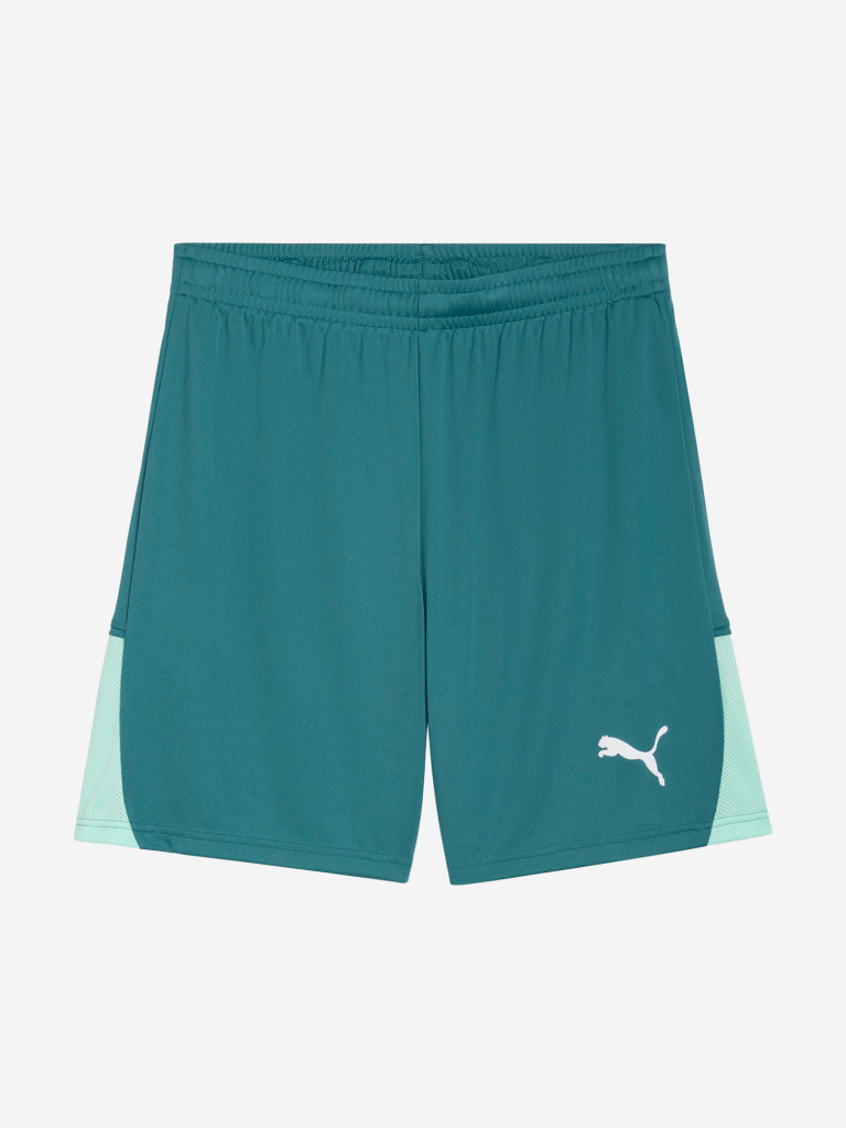 Шорты мужские PUMA Teamliga26