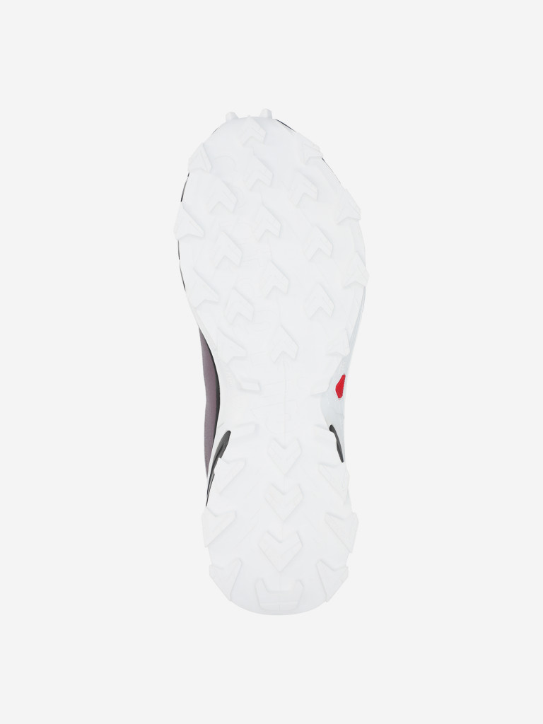 Кроссовки женские Salomon Alphacross 5 Gtx