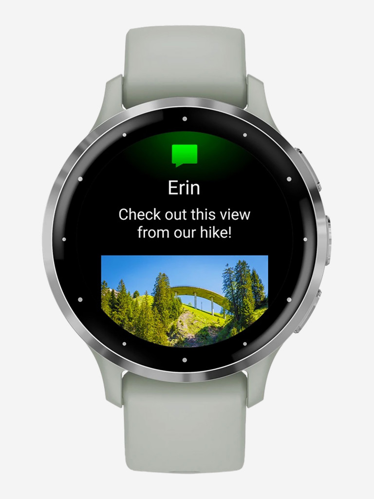 Спортивные часы Garmin Venu 3S Sage Gray Passivated