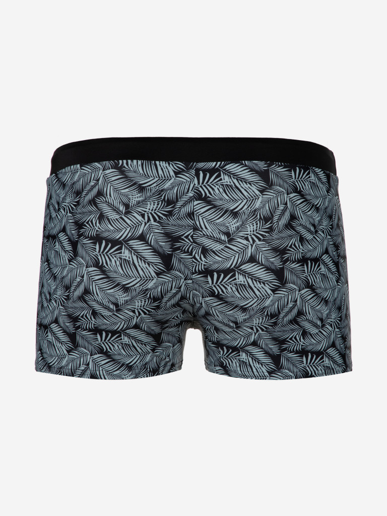 Плавки-шорты мужские Speedo Valmilton