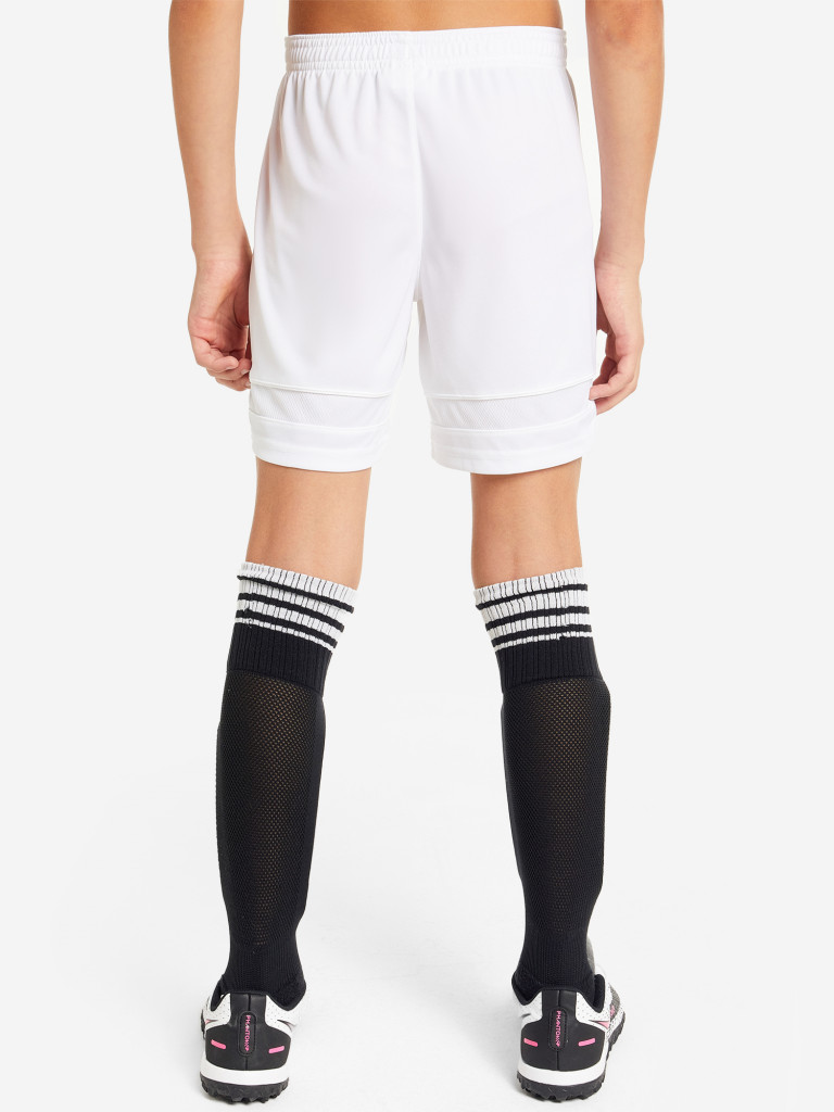 Шорты для мальчиков Nike Dri-FIT Academy