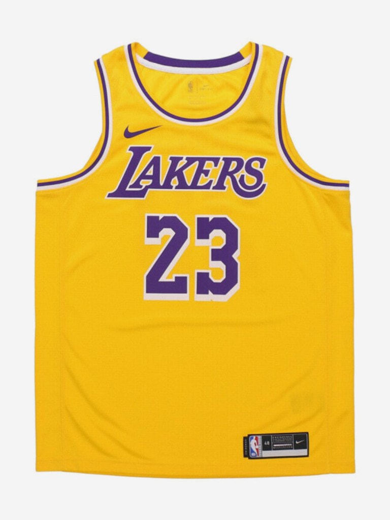 Майка баскетбольная Nike LeBron James Icon Swingman