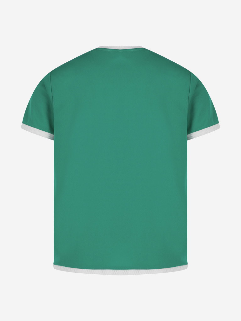 Футболка для мальчиков PUMA Teamliga Jersey Jr